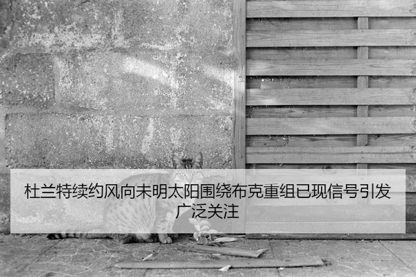 杜兰特续约风向未明太阳围绕布克重组已现信号引发广泛关注