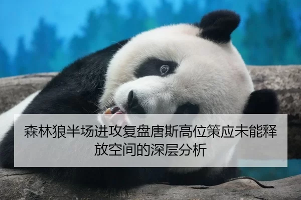 森林狼半场进攻复盘唐斯高位策应未能释放空间的深层分析