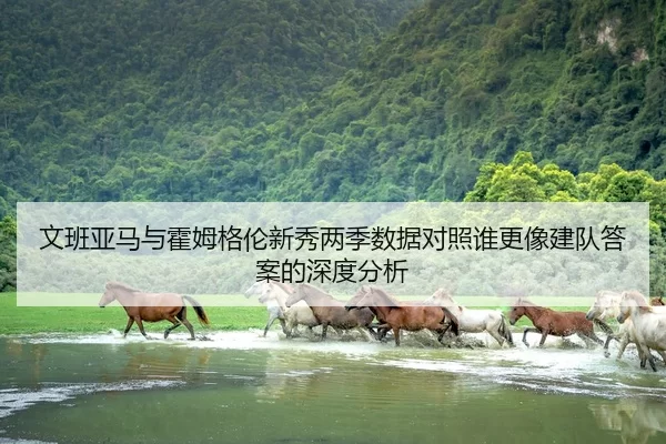 文班亚马与霍姆格伦新秀两季数据对照谁更像建队答案的深度分析