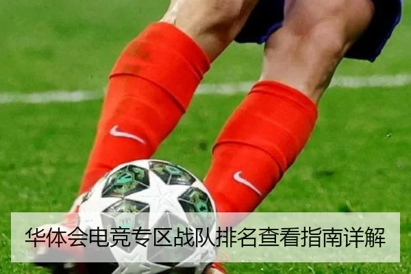 华体会电竞专区战队排名查看指南详解