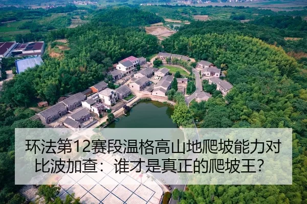 环法第12赛段温格高山地爬坡能力对比波加查：谁才是真正的爬坡王？