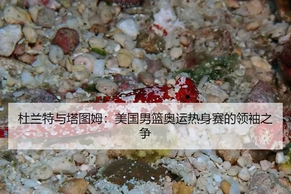 du-lan-te-yu-ta-tu-mu-mei-guo-nan-lan-ao-yun-re-shen-sai-de-ling-xiu-zhi-zheng-3-858.jpg
