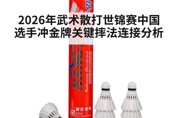 2026年武术散打世锦赛中国选手冲金牌关键摔法连接分析